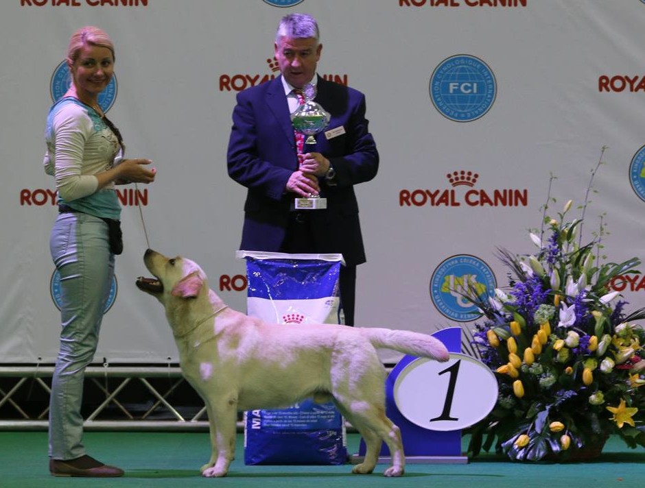 19.04.2015 FCI – CACIB, Kyiv