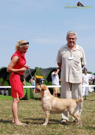 18.07.2015 Hungary, Debrecen 2xCACIB (Sinisa Pavlovic)