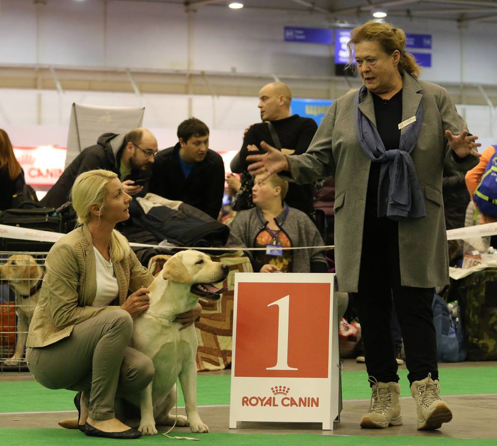 CACIB, Kyiv, 05.12.2015